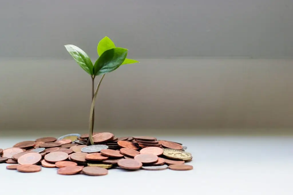 photo of a plant growing from a pile of coins